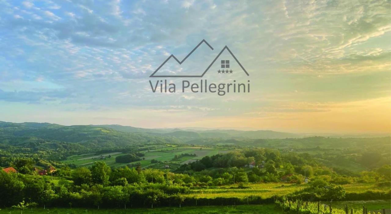 Vila Pellegrini アランジェロヴァツ エクステリア 写真